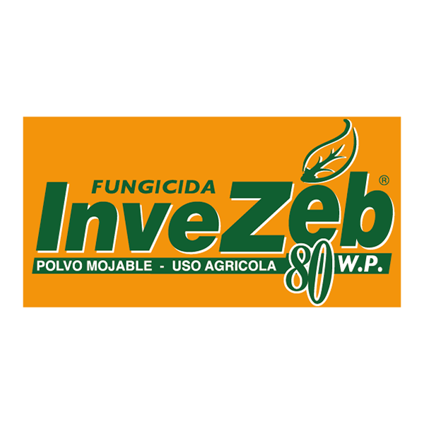 Invesa Logo