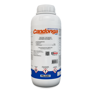 Candonga 1.8 EC
