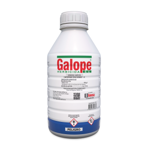 Galope EC