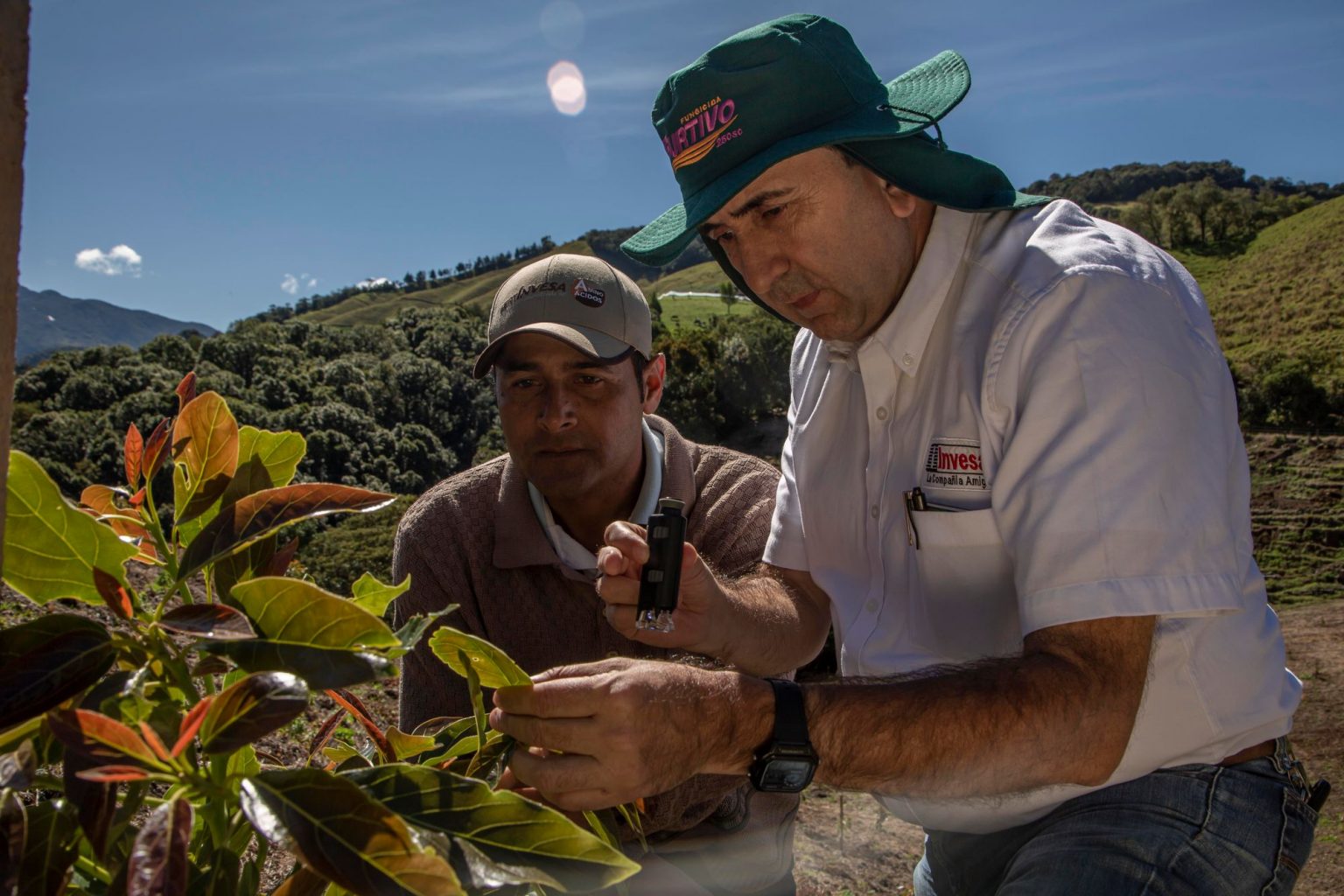Productos agrícolas - Agro Invesa - La Compañía Amiga