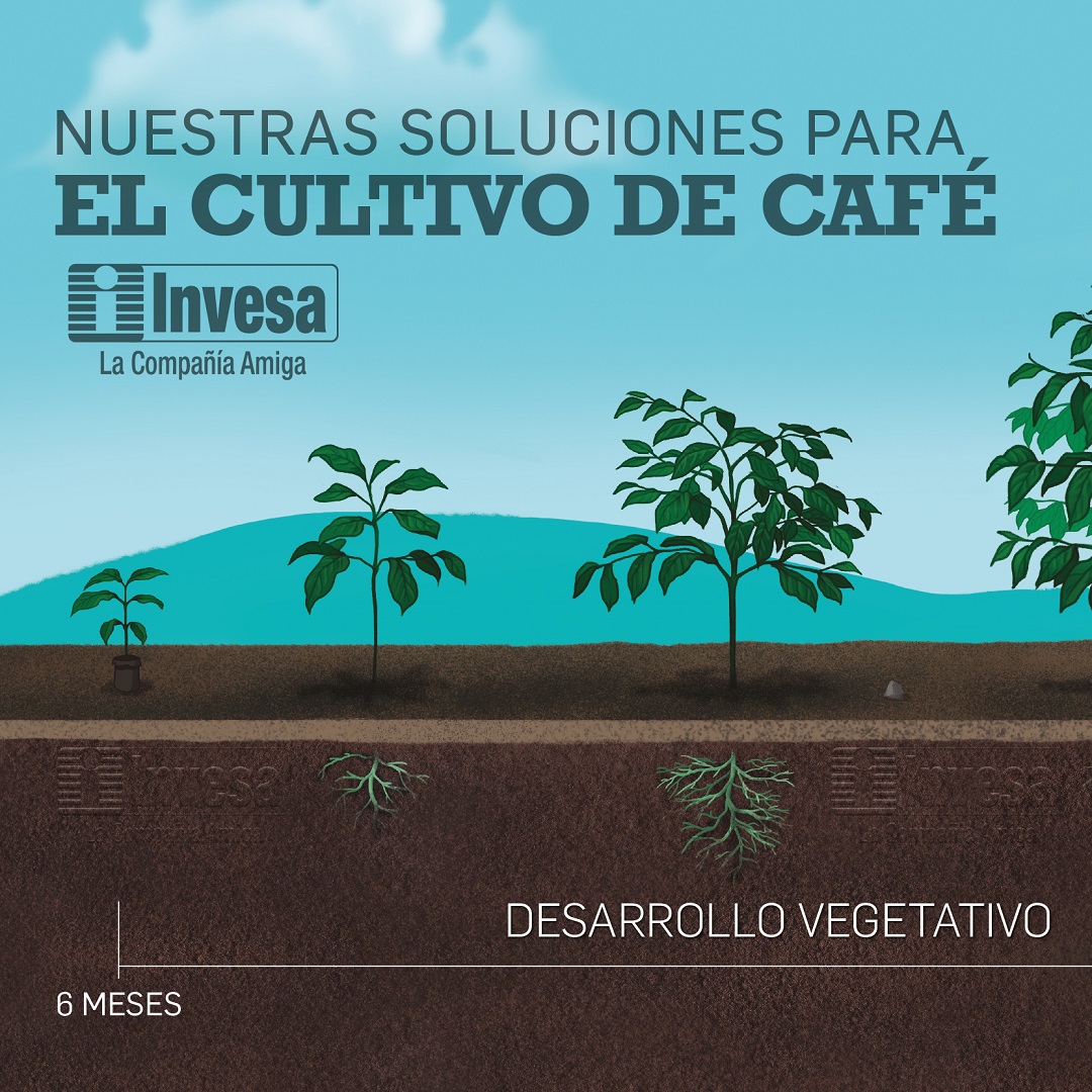 Una Compañía ejemplo en Colombia. - Invesa - La Compañía Amiga