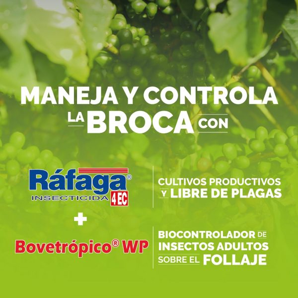 Una Compañía ejemplo en Colombia. - Invesa - La Compañía Amiga