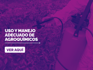 Productos agrícolas - Agro Invesa - La Compañía Amiga